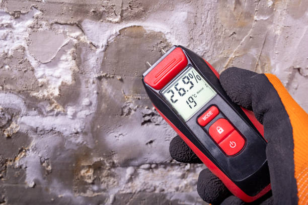Best Emergency Mold Remediation in Mount Kisco, NY